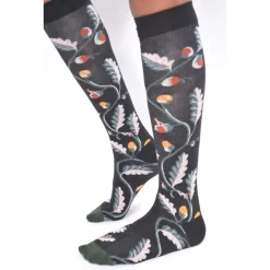 Mi Bas Branche De Chêne Gland Et Lutin