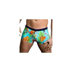 Hom Shorty De Bain Imprimé Turquoise